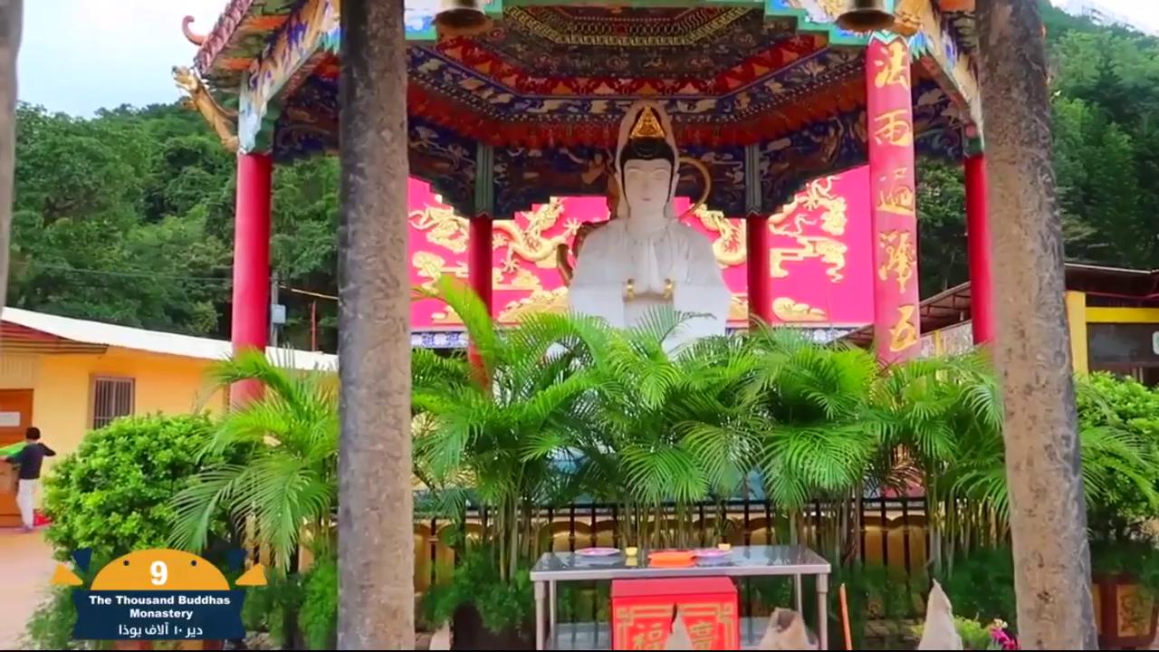 Partial Curl Ups Exercise